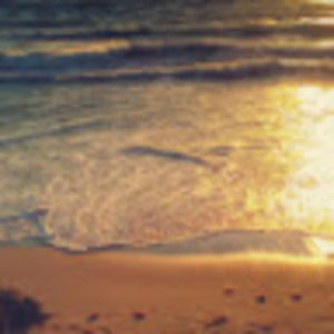 Meet your Posher, Edwin